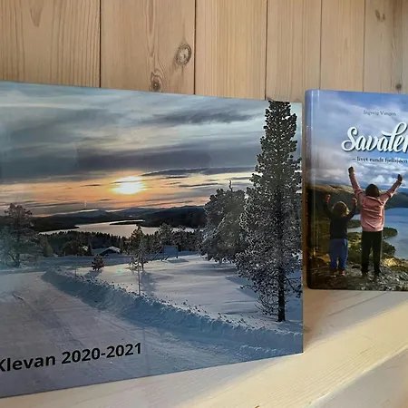 Eco-friendly With Panoramic Views In Savalen Σπίτι διακοπών