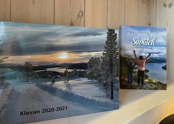 Eco-friendly With Panoramic Views In Savalen 別荘